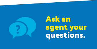 Ask an Agent your questions button